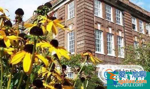 伦敦南岸大学研究生（硕士）学制是几年？