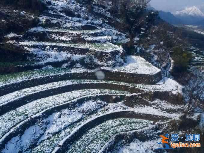 不谈油菜花，来看看下雪的婺源有多美！？