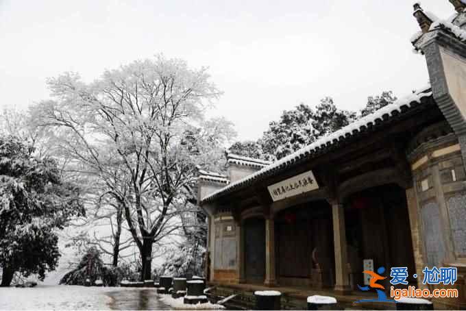 不谈油菜花，来看看下雪的婺源有多美！？