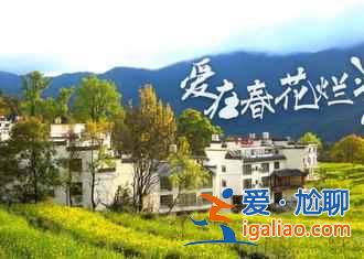 不谈油菜花，来看看下雪的婺源有多美！？