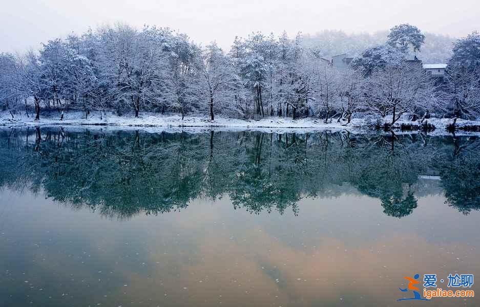雪后的南方，这是我见过最美的冬景！？