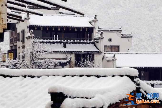 不谈油菜花，来看看下雪的婺源有多美！？