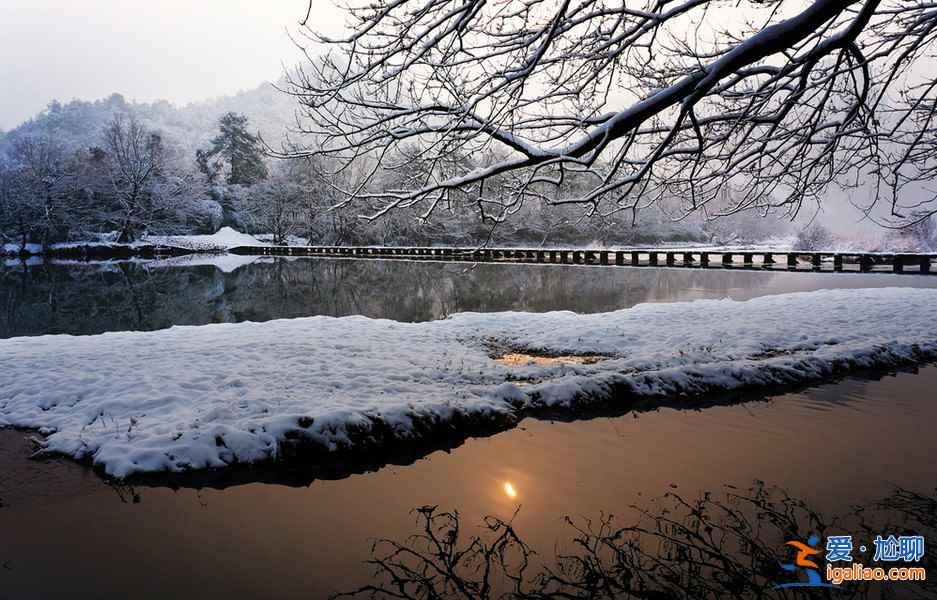 雪后的南方，这是我见过最美的冬景！？