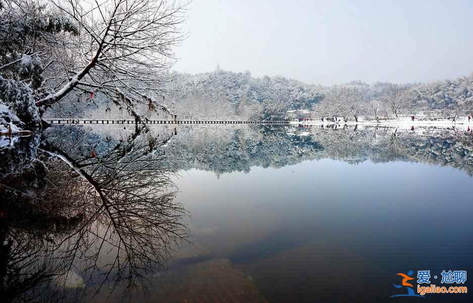 雪后的南方，这是我见过最美的冬景！？