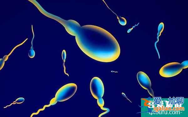 单身女性赴美做试管婴儿攻略:需做好准备? 单身女性赴美做试管婴儿攻略:需做好准备?