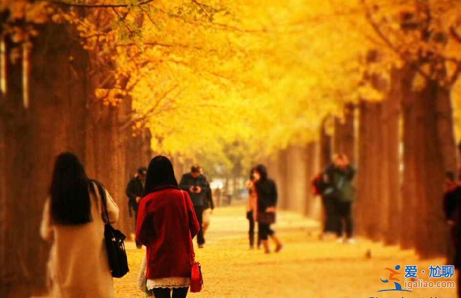 不想去故宫、长城、颐和园...北京的这些地方你一定想去！？
