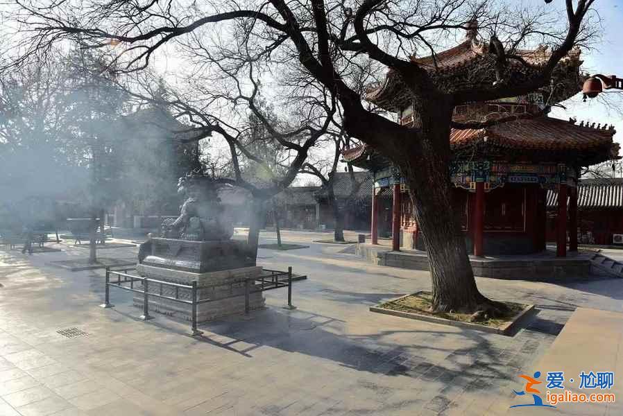 春节来北京，这5件事儿你必须做！？