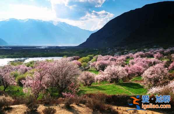 中国最美的春天是什么样的？？