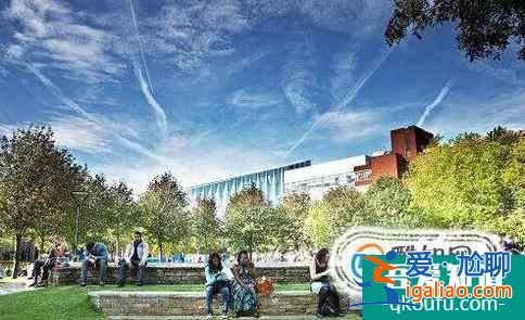 谢菲尔德大学管理学专业课程设置及入学要求解析？
