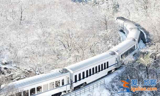 春日列车变雪国列车，你觉得哪个季节更美？？