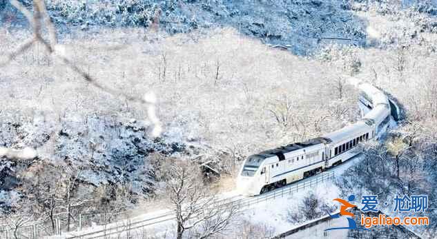 春日列车变雪国列车，你觉得哪个季节更美？？