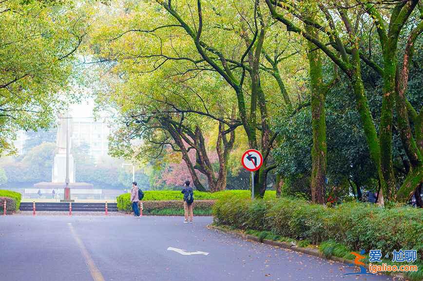 杭州不只西湖可观，这些地方才更美！？
