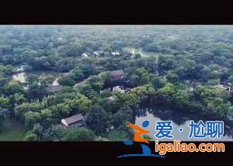 杭州不只西湖可观，这些地方才更美！？