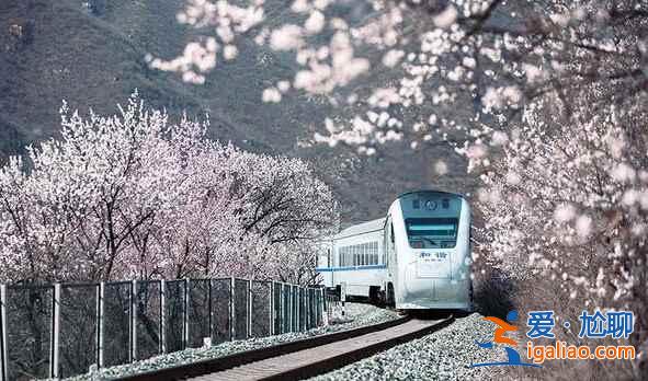 春日列车变雪国列车，你觉得哪个季节更美？？