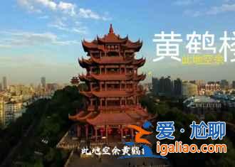 汉口江滩芦苇怎么去，2015汉口江滩芦苇时间？