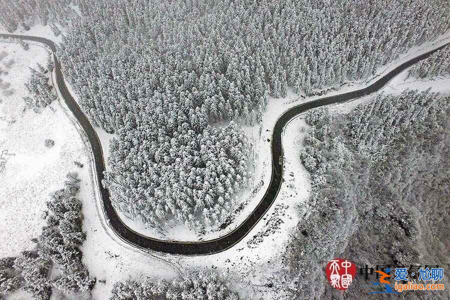 独家航拍重庆仙女山雪后美景？