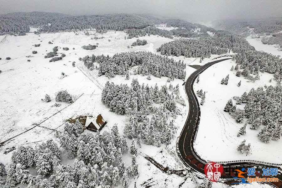 独家航拍重庆仙女山雪后美景？