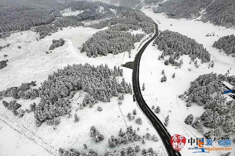 独家航拍重庆仙女山雪后美景？