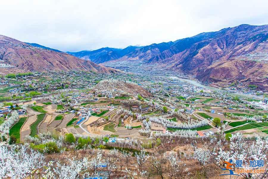 四川最美旅行表，一年四季都有美景！？