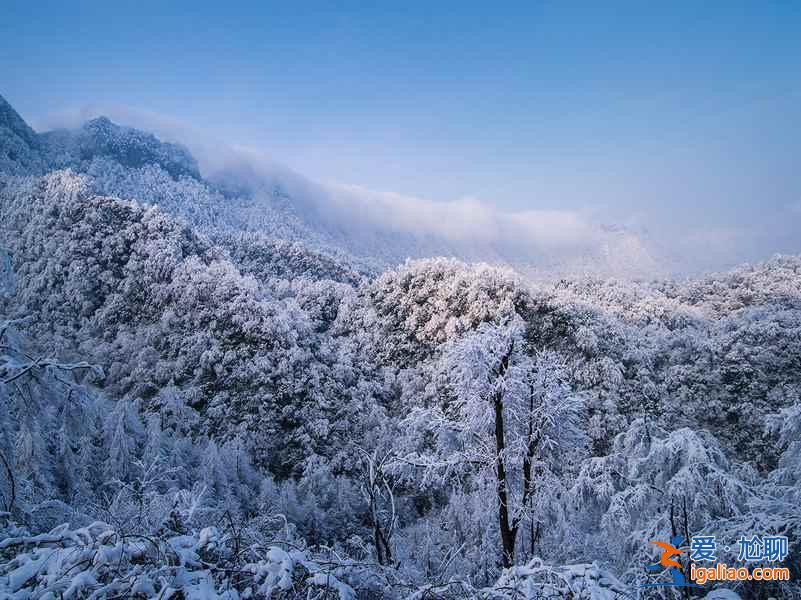 四川最美旅行表，一年四季都有美景！？