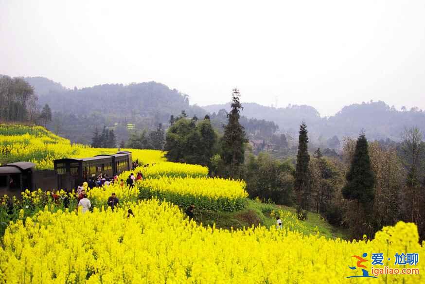 四川最美旅行表，一年四季都有美景！？