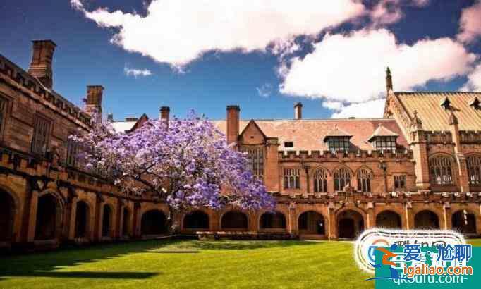 我想要对你说： Ins上都是骗人的，现实中的英国大学是这样的？