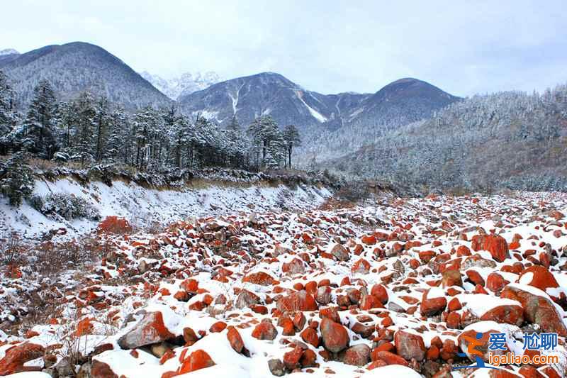 四川最美旅行表，一年四季都有美景！？