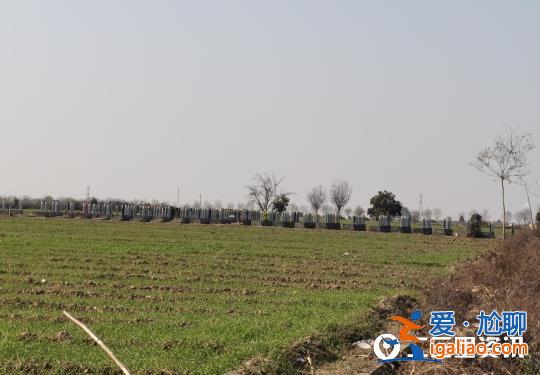 陕西兴平一村庄违法占用耕地建墓园 6000元就能买块墓地？