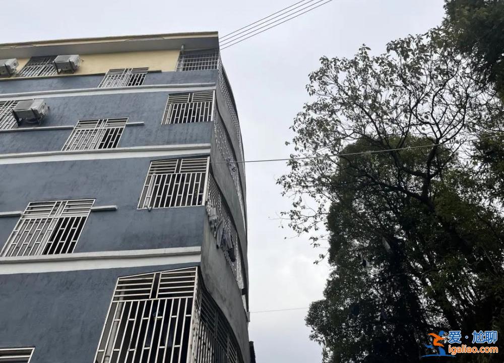 被焦灼、无解、谣言裹挟的双亲？