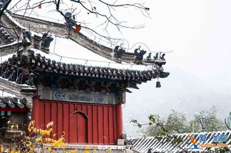 【北京拍雪景的地方】北京去哪里看雪景,北京雪景拍摄地推荐? 【北京拍雪景的地方】北京去哪里看雪景,北京雪景拍摄地推荐?