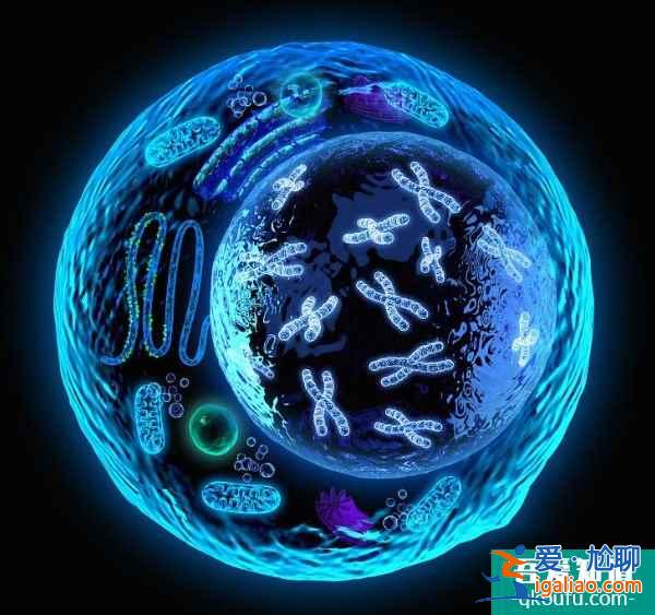 详解试管婴儿备受国人推崇的具体原因？