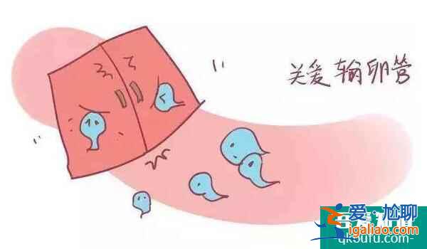 四类不孕女性的好孕锦囊—试管婴儿？