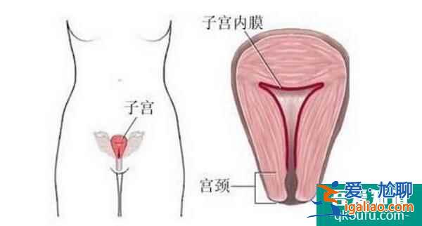 赴美试管婴儿：自身抗体会阻止胚胎发育吗？？