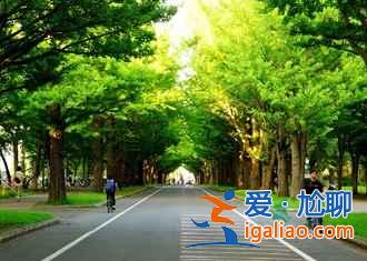 这样的日本让人感动，只为一个人而运行的车站？