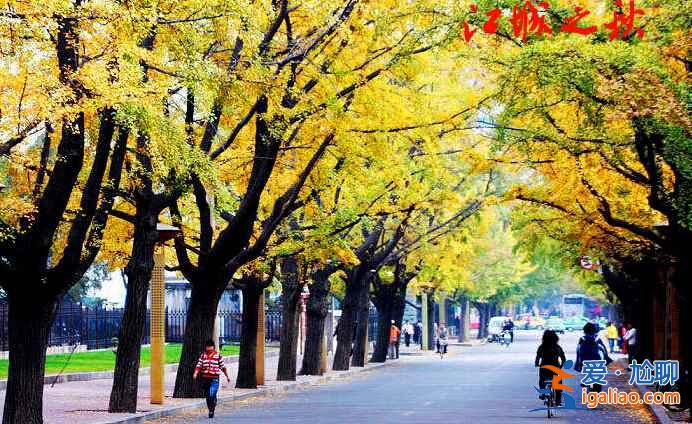 这里是中国一万八千公里海岸线的北端起点，有“东北苏杭”的美誉？