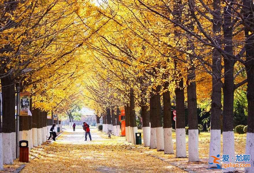 这里是中国一万八千公里海岸线的北端起点，有“东北苏杭”的美誉？