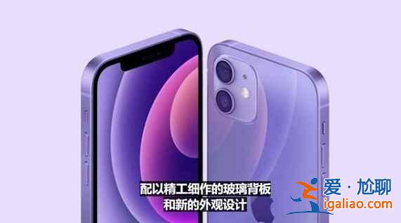 iPhone12紫色尺寸是多少？