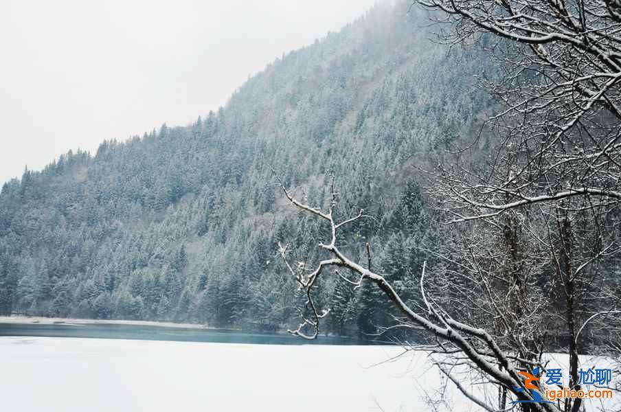 九寨沟雪景什么时间去,九寨沟什么时候下雪？