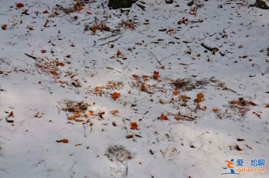 九寨沟雪景什么时间去,九寨沟什么时候下雪？