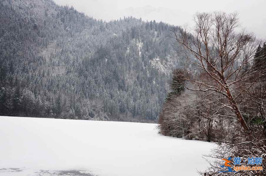 九寨沟雪景什么时间去,九寨沟什么时候下雪？