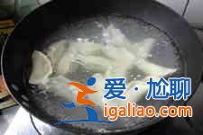 茴香饺子的做法大全？