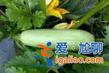 西葫芦鸡蛋饺子？