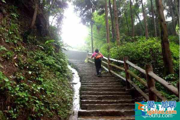 峨眉山冬天封山吗 峨眉山冬天旅游攻略？