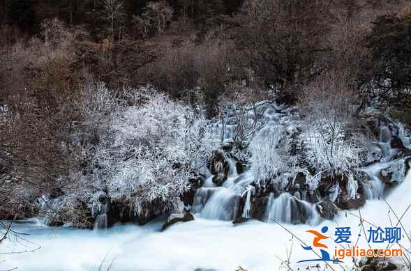 九寨沟的冬景，看见就是赚到了！？