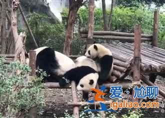 中国最美的国道——318国道? 中国最美的国道——318国道?