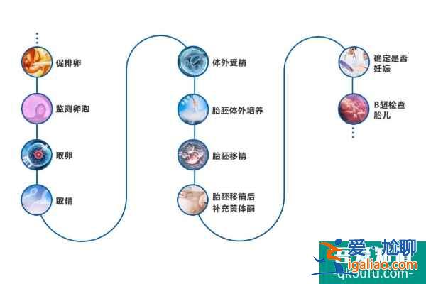 解析去做试管婴儿，成功率高的关键因素？