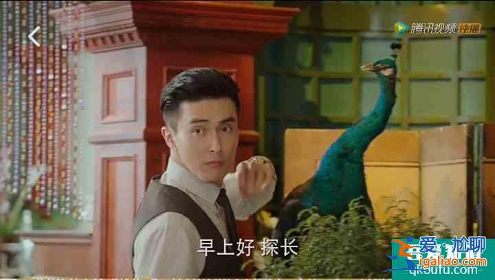 一盘甜点爱上旗袍美探，原来探长是吃货？