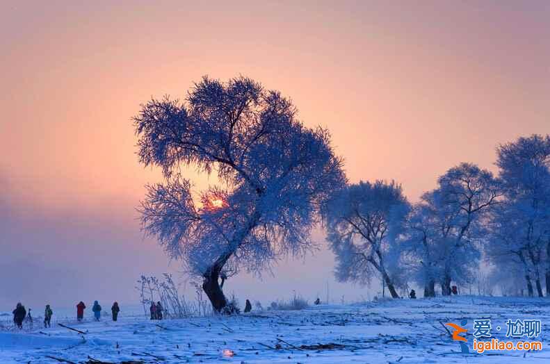 十二月，行走在中国最美雪线！？