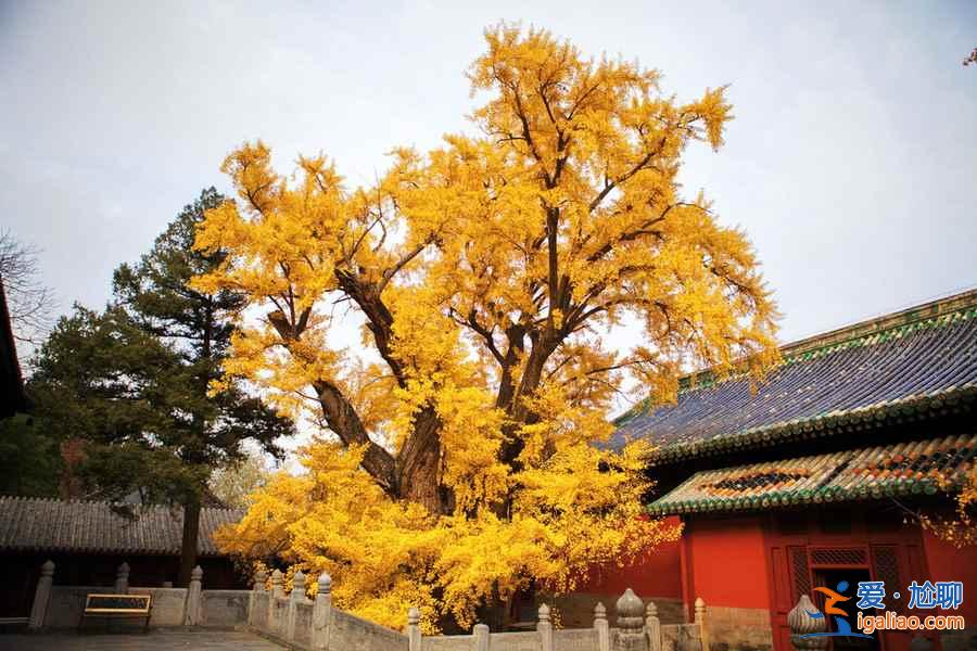 北京10月适合去哪玩，北京十月去哪玩好？