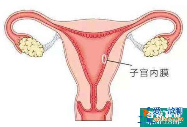 详解试管婴儿成功率高的三大奥秘？